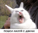 160