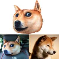800x800