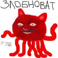 300x300