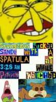 480x865
