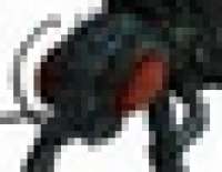 604x469