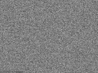700x525