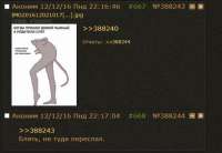 589x408