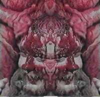 600x579