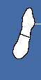 59x115