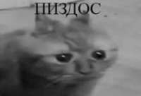 220x150