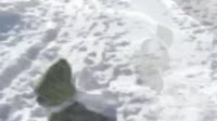 640x360