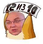 141x144