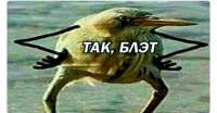 540x281