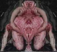 600x540
