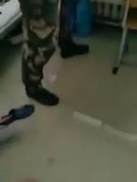 270x360