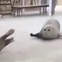 360x360
