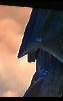 800x1280