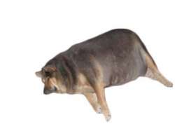 609x457