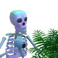 250x250