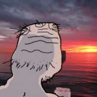 383x382