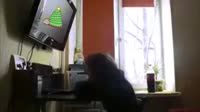 640x360