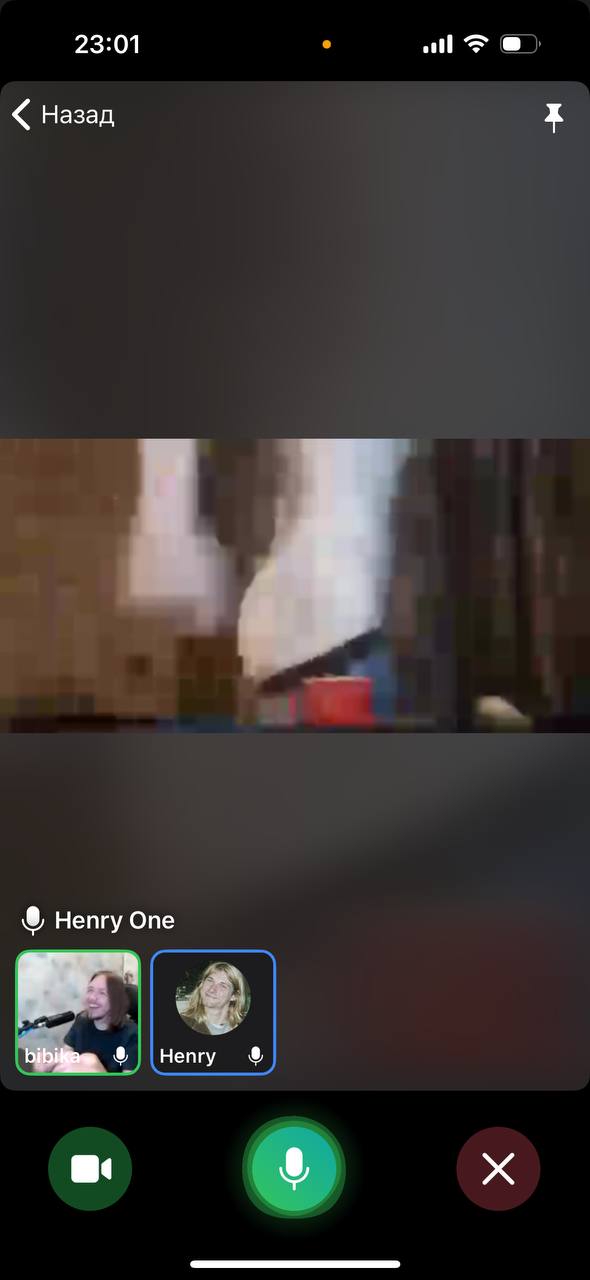 590x1280