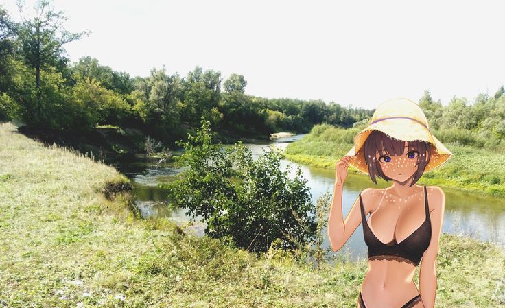 736x449