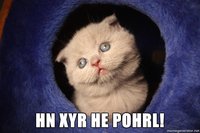 80