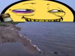 373