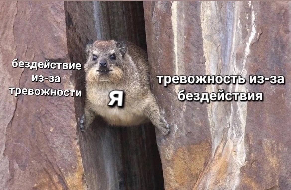 1170x766