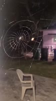 360x640
