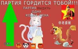659x412