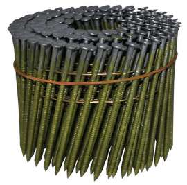 500x495
