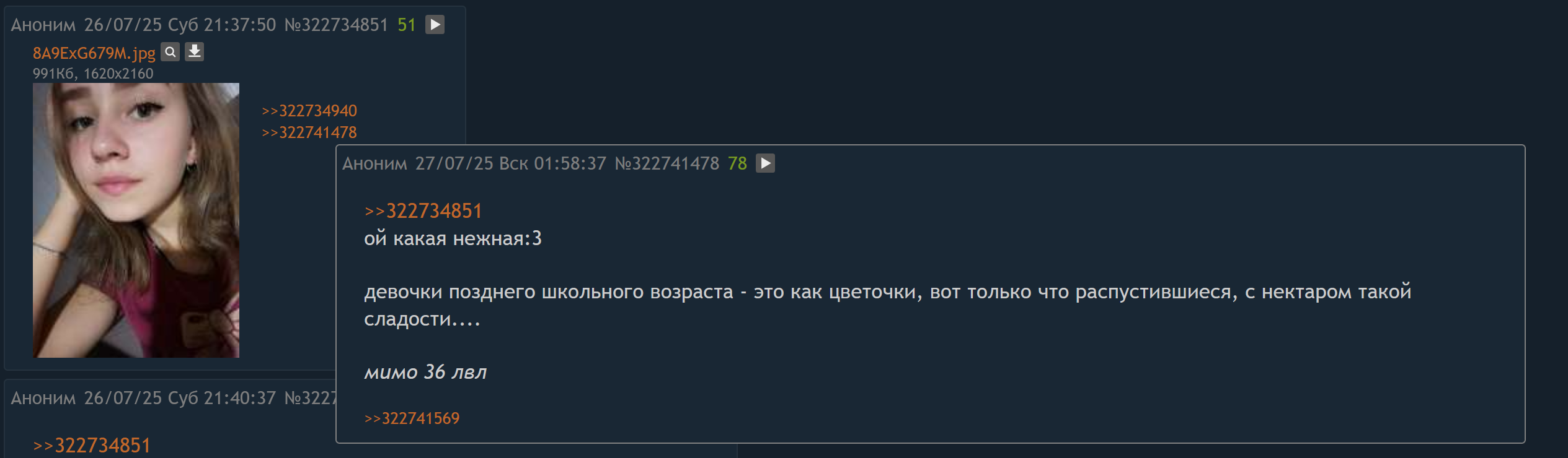 2529x740