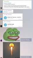 495x868