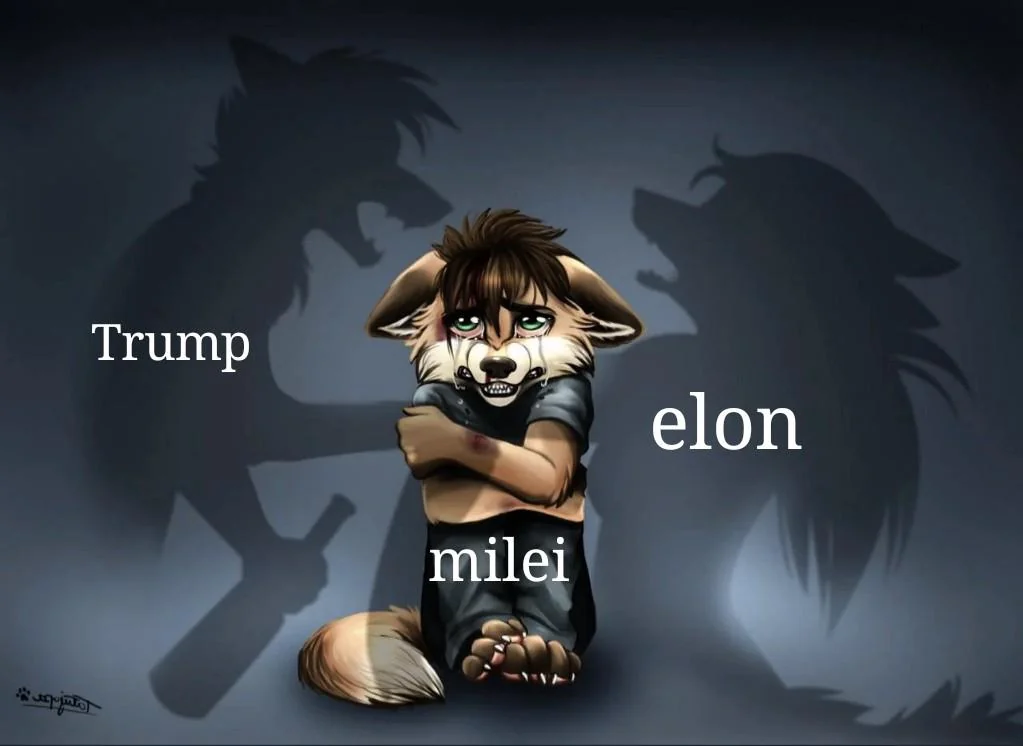 1023x746