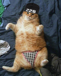 395