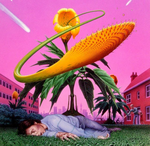 651