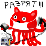 61