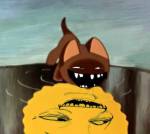 31
