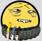 339