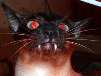 1306