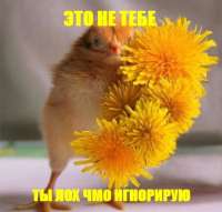 470x450