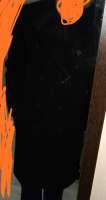 1557x2937