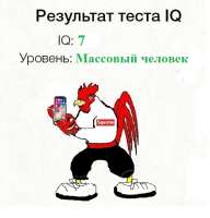 510x530