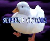 721x589