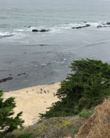 640x800