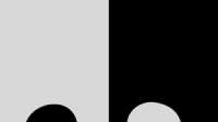 300x168