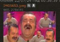 344x242