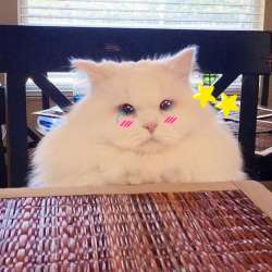 159