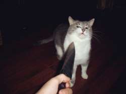 47