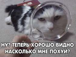 78