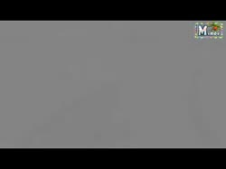 320x240