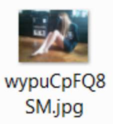 388x427
